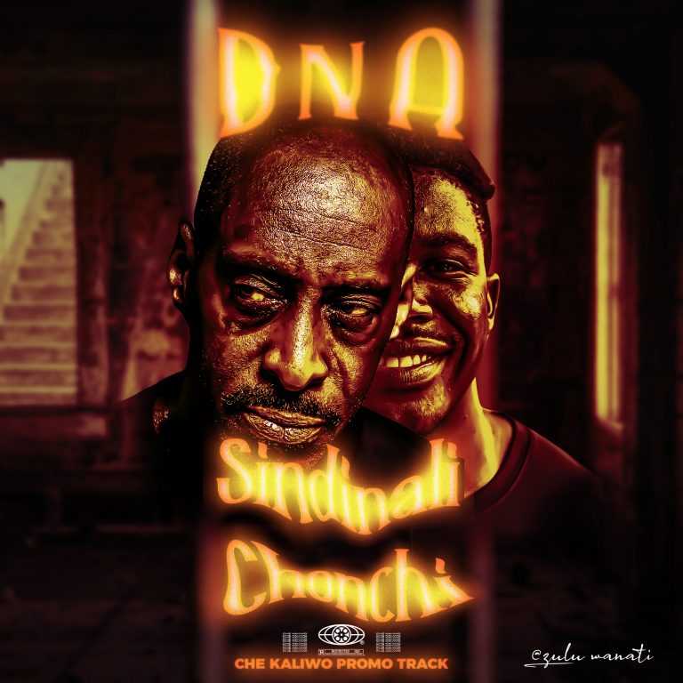 Sindinalichonchi | DNA |  | XaMuzik